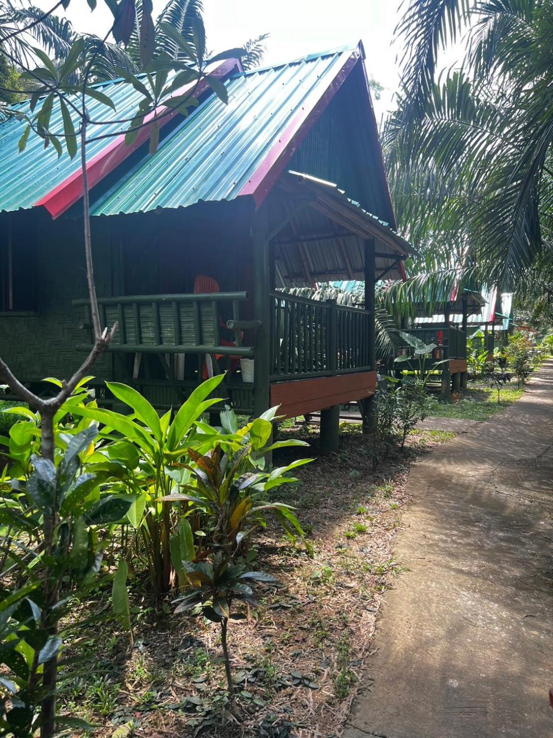 Khaosok Bamboo Huts Resort Khao Sok National Park 外观 照片