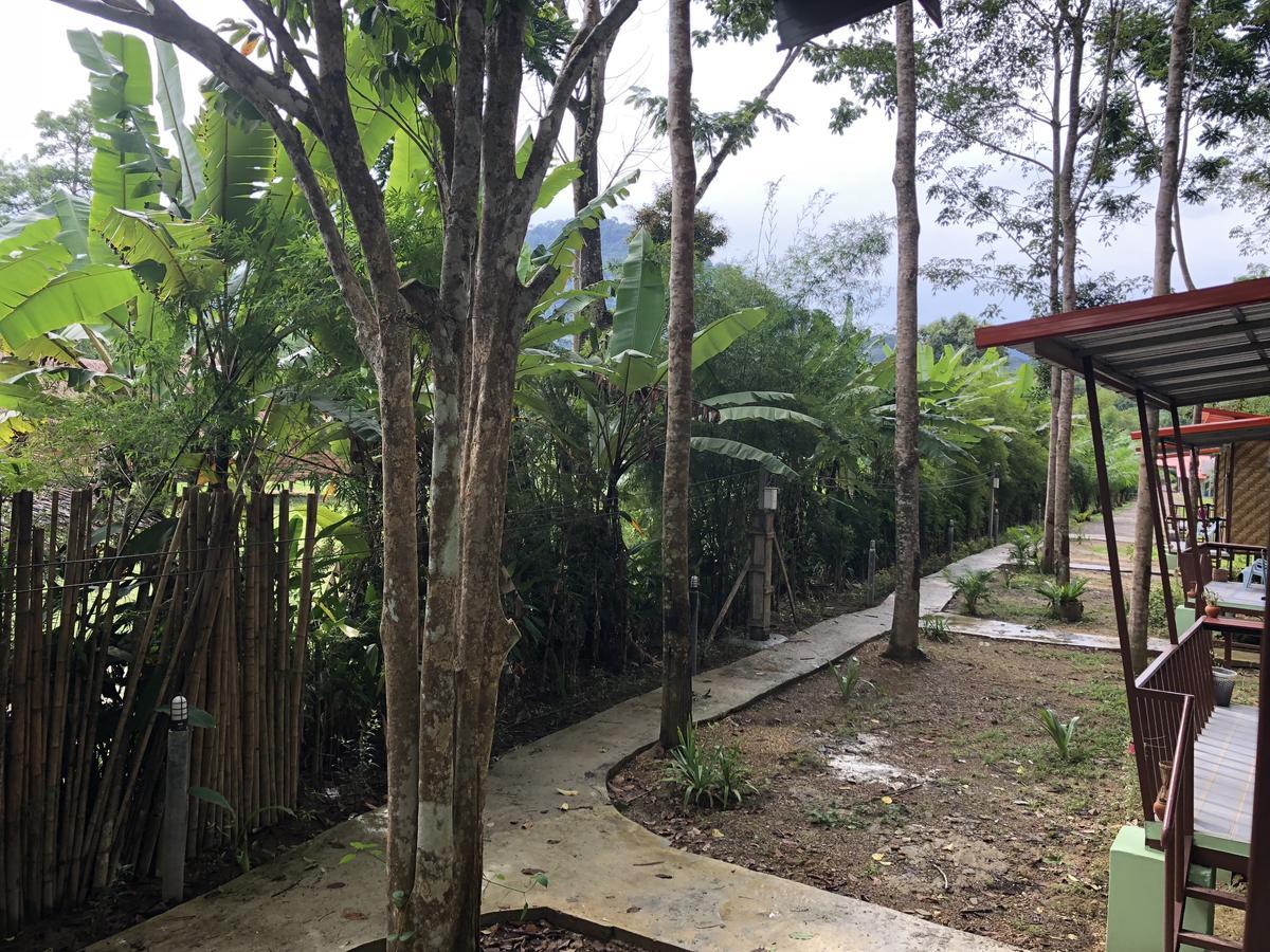 Khaosok Bamboo Huts Resort Khao Sok National Park 外观 照片