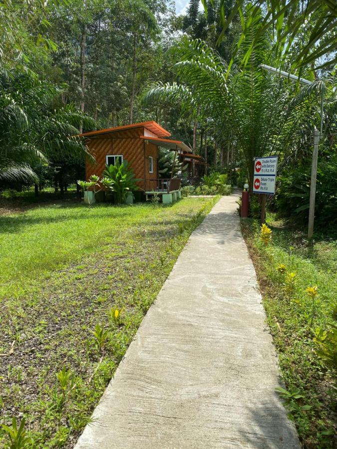 Khaosok Bamboo Huts Resort Khao Sok National Park 外观 照片
